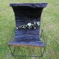 Nature will Survive - Ceramic Art - Linda Bollens Keramiek