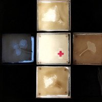 Linda-Bollens-werk-3